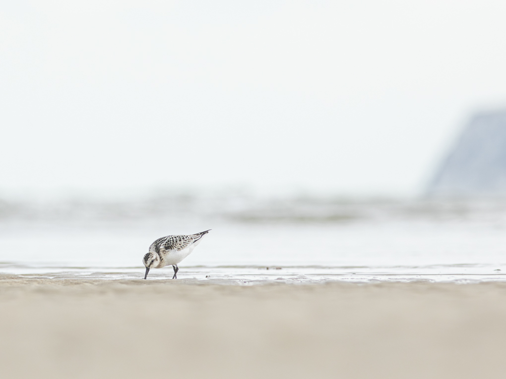 Petit dans l’immensité