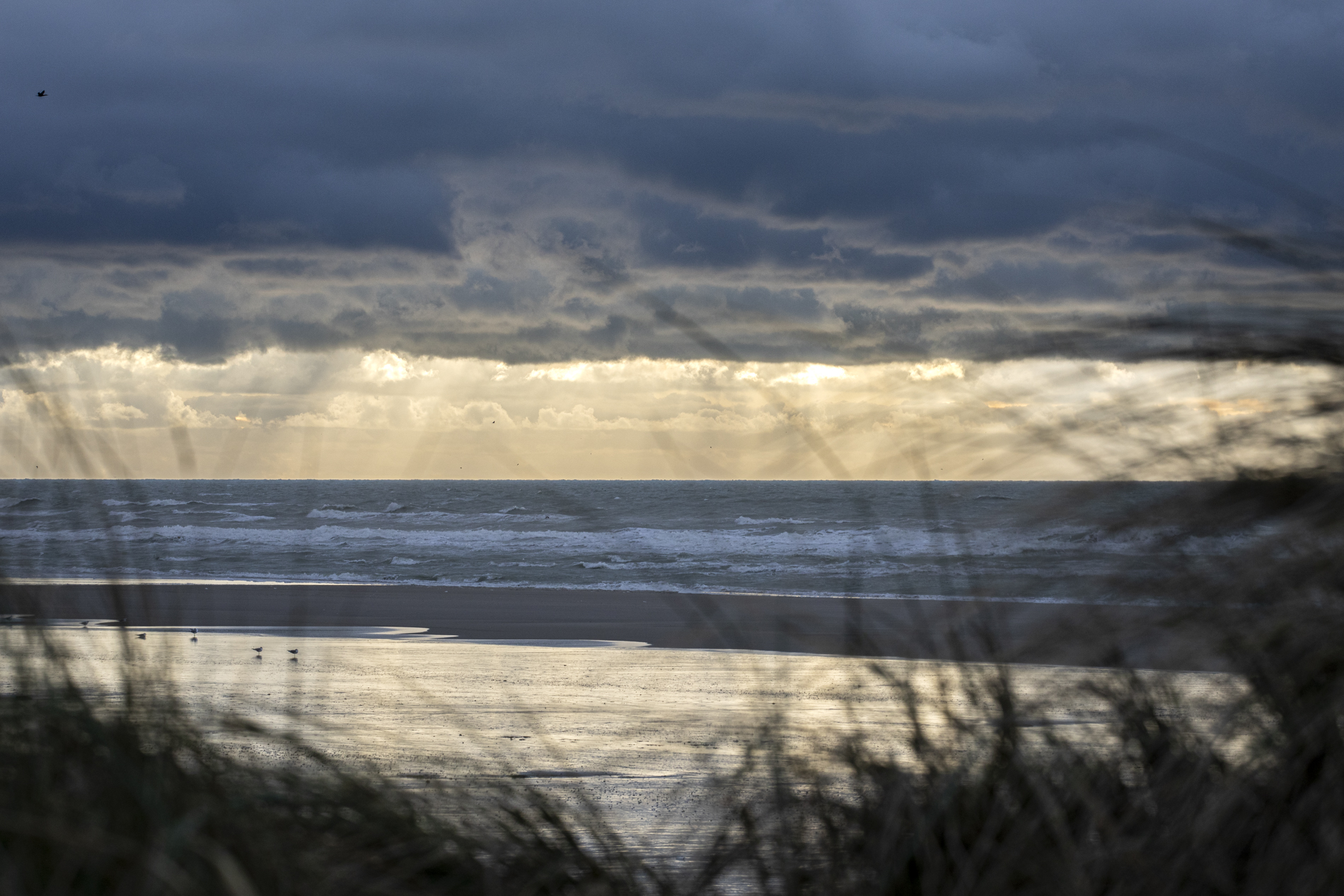 Hardelot sur notre belle côte d’Opale