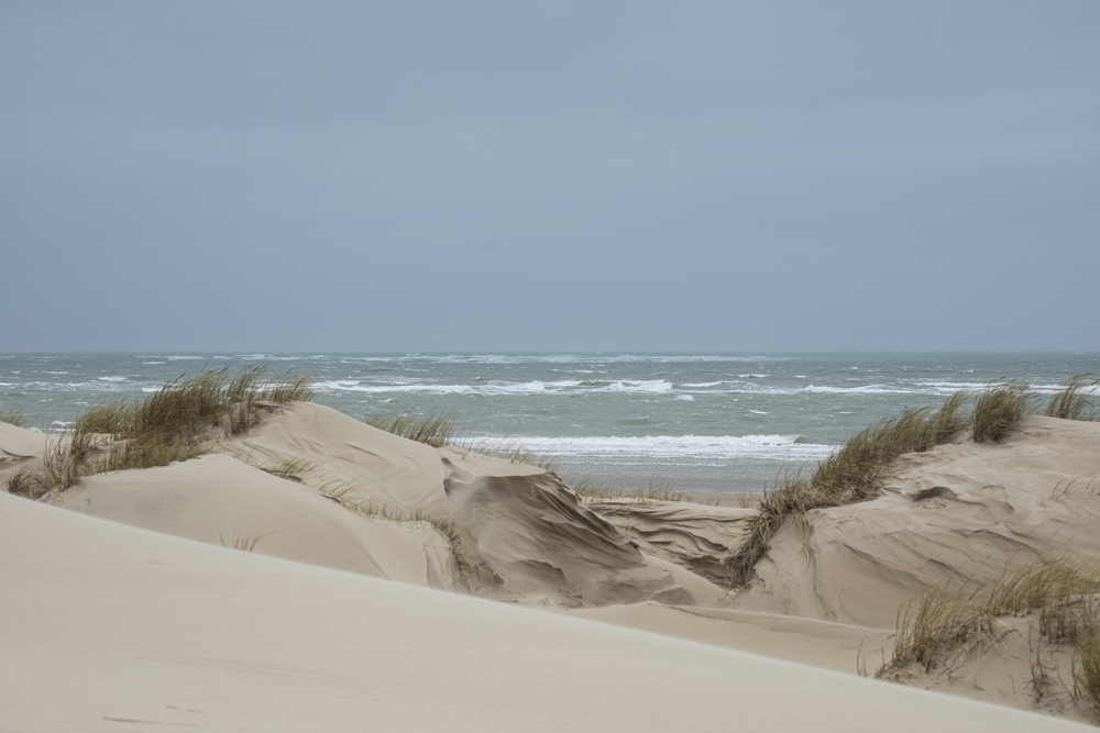 Notre belle côte d’Opale