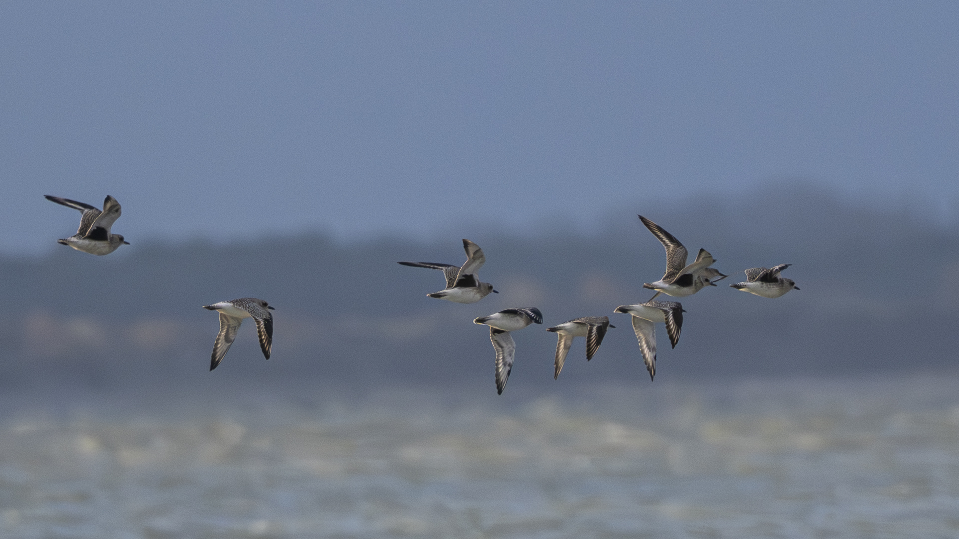 La baie de Somme